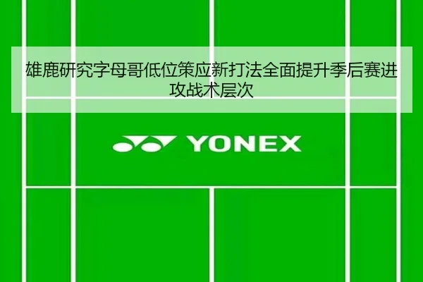 雄鹿研究字母哥低位策应新打法全面提升季后赛进攻战术层次
